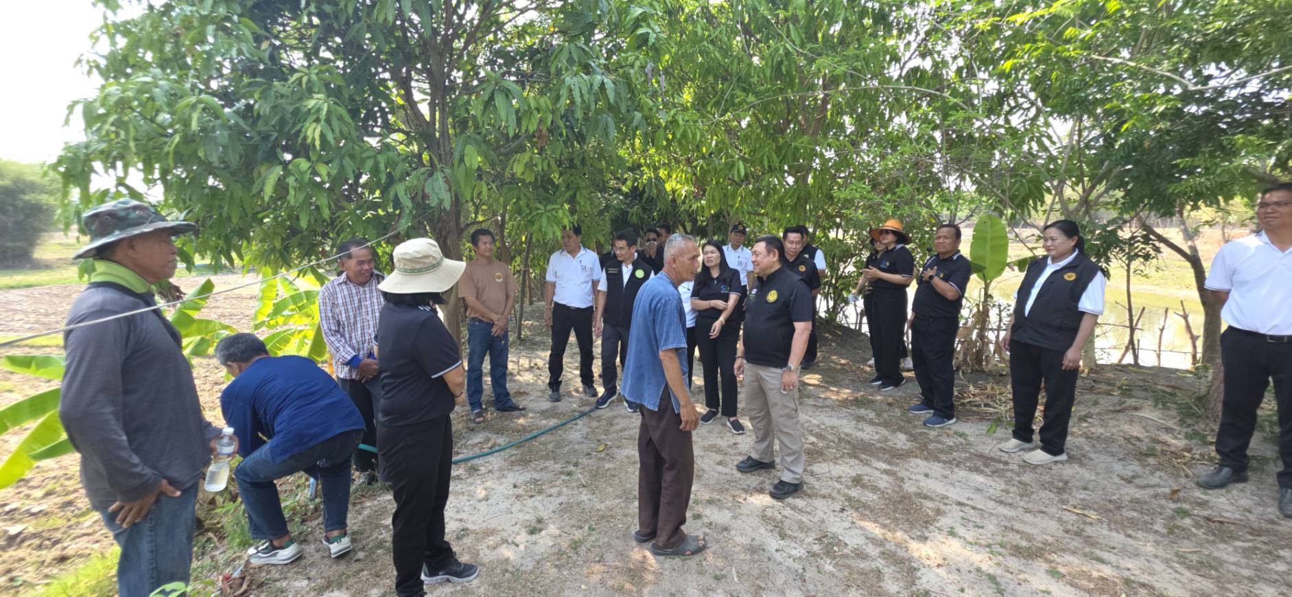 title - เลขาธิการ ส.ป.ก. ลงพื้นที่ตรวจเยี่ยมกลุ่มวิสาหกิจชุมชนโคขุนหนองแหน และศูนย์ต้นแบบเกษตรทฤษฎีใหม่ในเขตปฏิรูปที่ดิน จังหวัดยโสธร